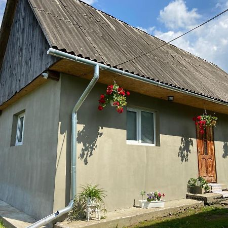 Біля Саду Volovets Ngoại thất bức ảnh
