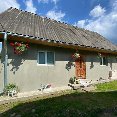 Біля Саду Volovets Ngoại thất bức ảnh