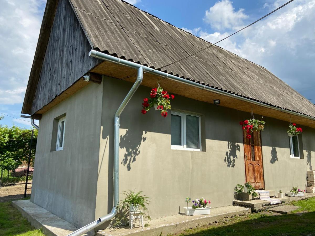 Біля Саду Volovets Ngoại thất bức ảnh